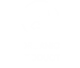 organic mask vegan